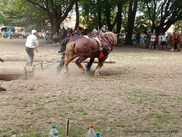 IMG_20260801_155544